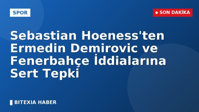 Sebastian Hoeness’ten Ermedin Demirovic ve Fenerbahçe İddialarına Sert Tepki